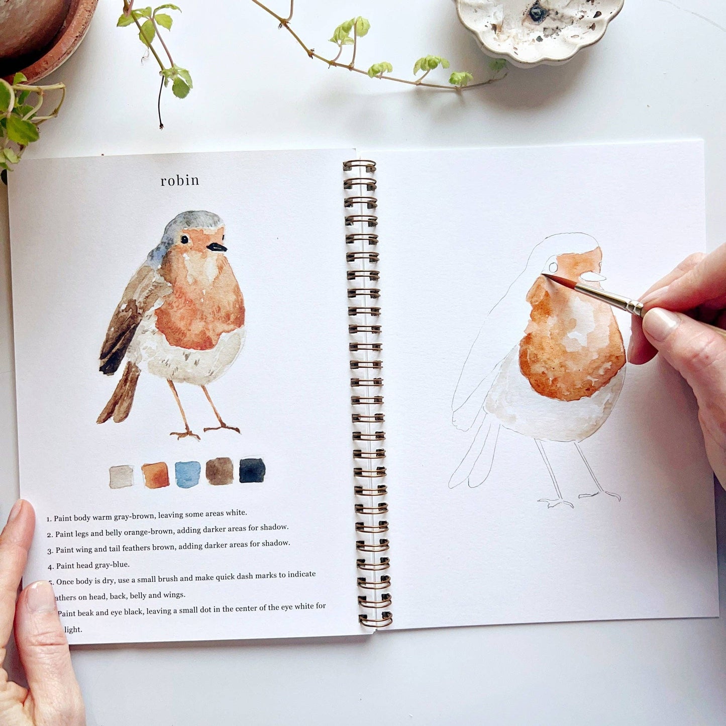 Birds watercolor workbook Regular