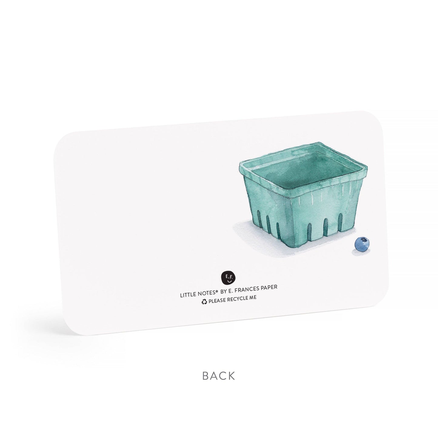 Blueberry Little Notes® Regular