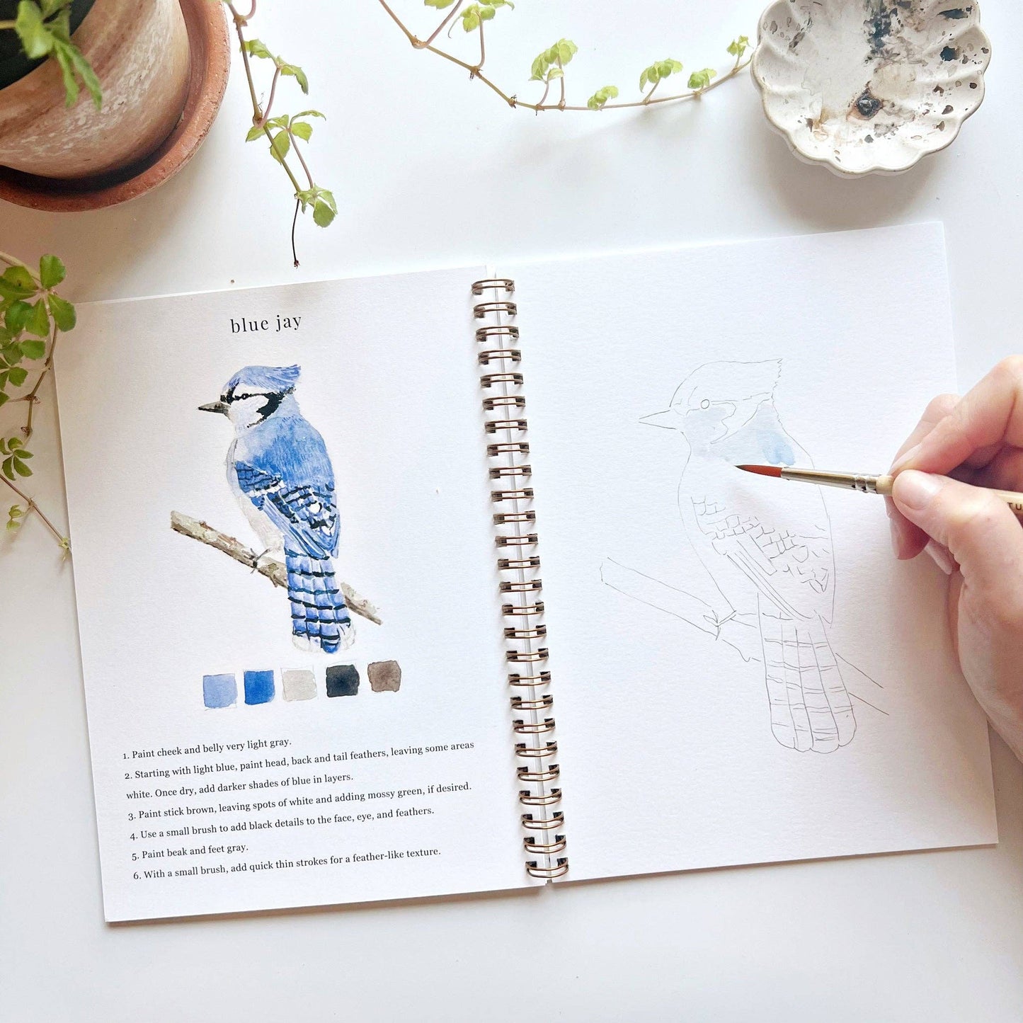 Birds watercolor workbook Regular