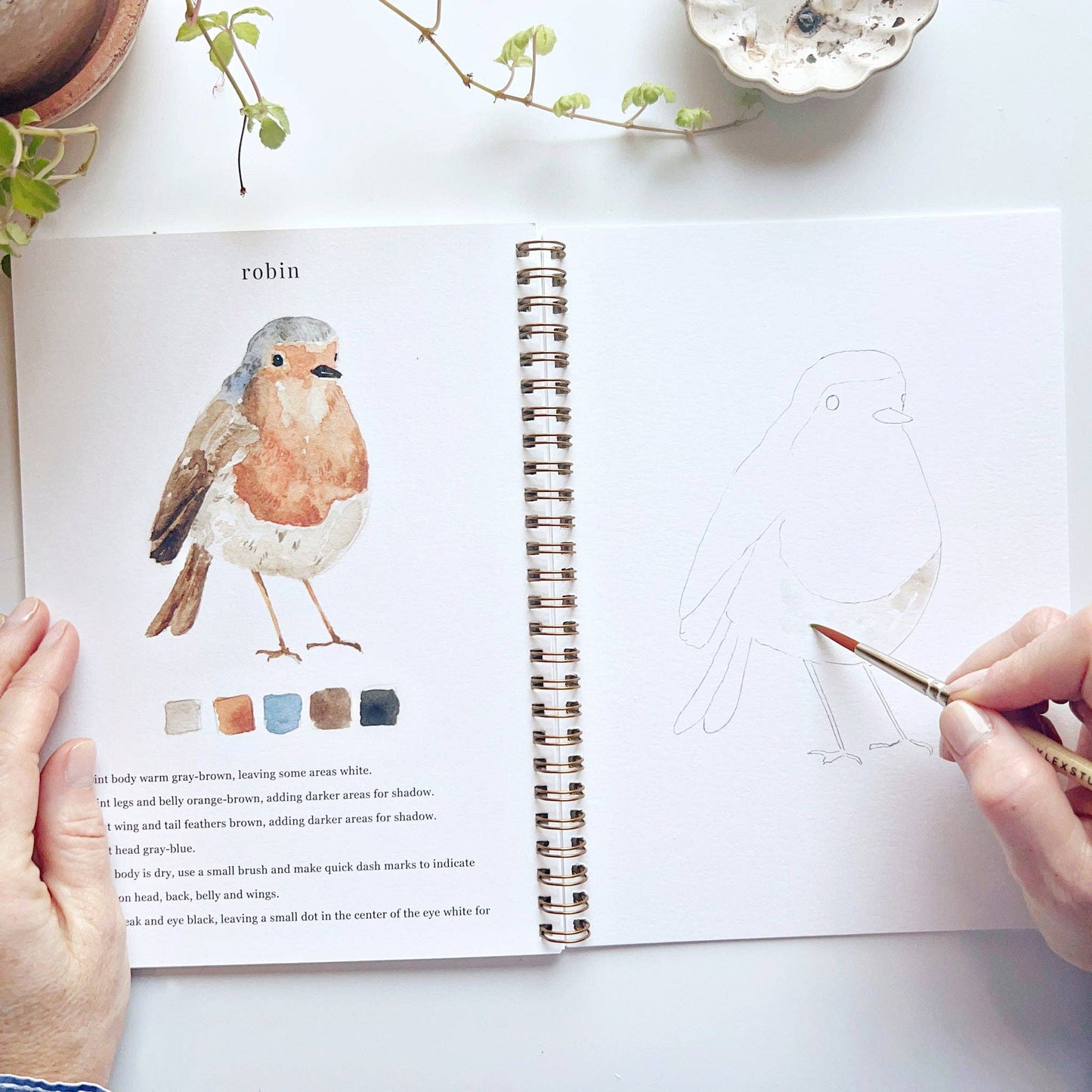 Birds watercolor workbook Regular