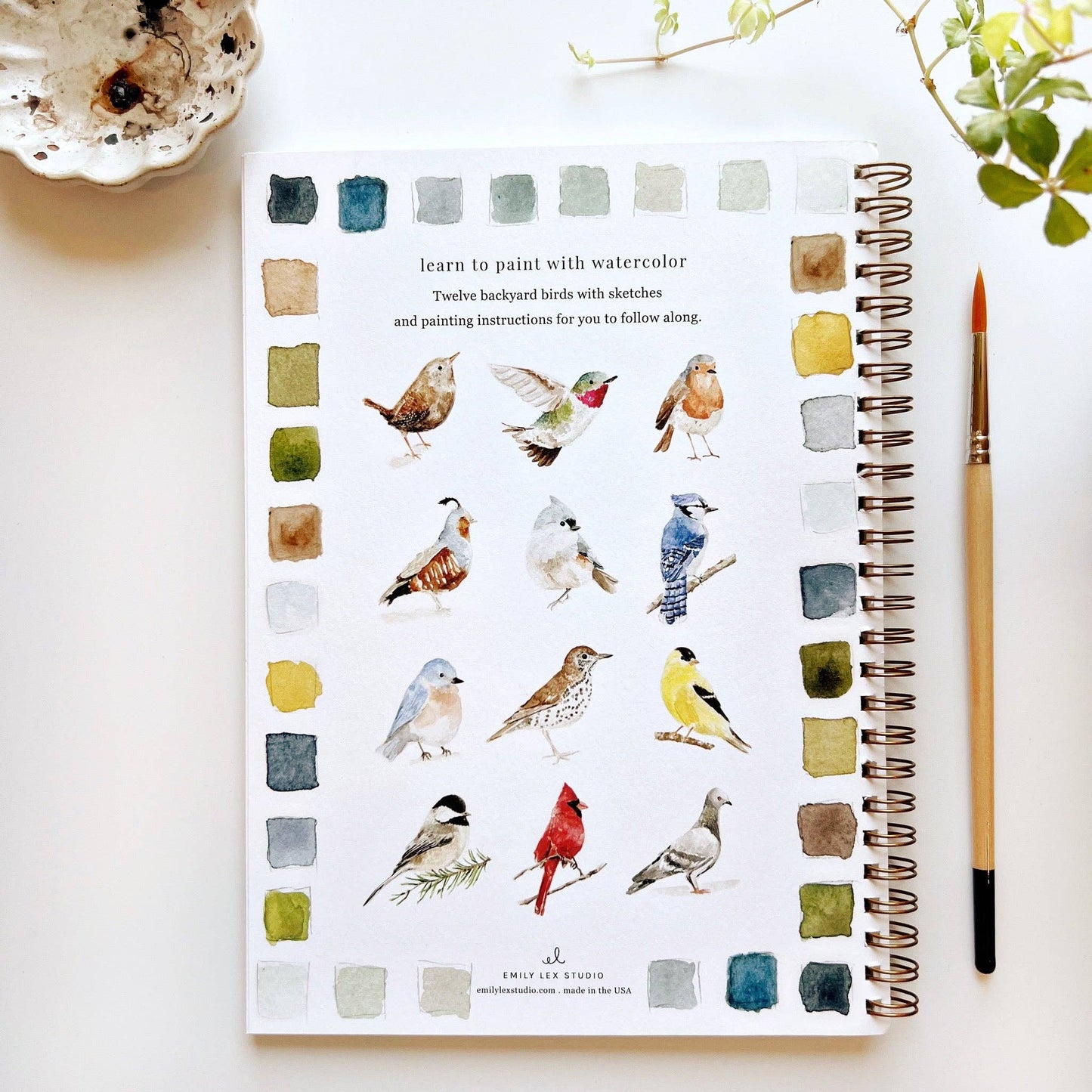 Birds watercolor workbook Regular