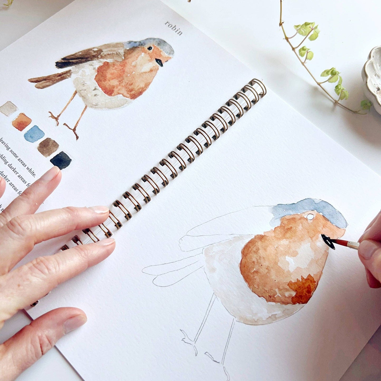 Birds watercolor workbook Regular