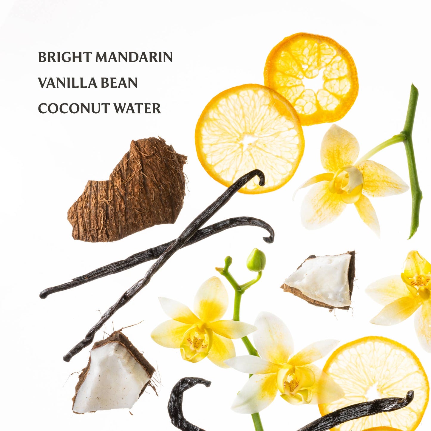 Vanilla Blossom Power Mist Hydrating Hand Sanitizer Regular