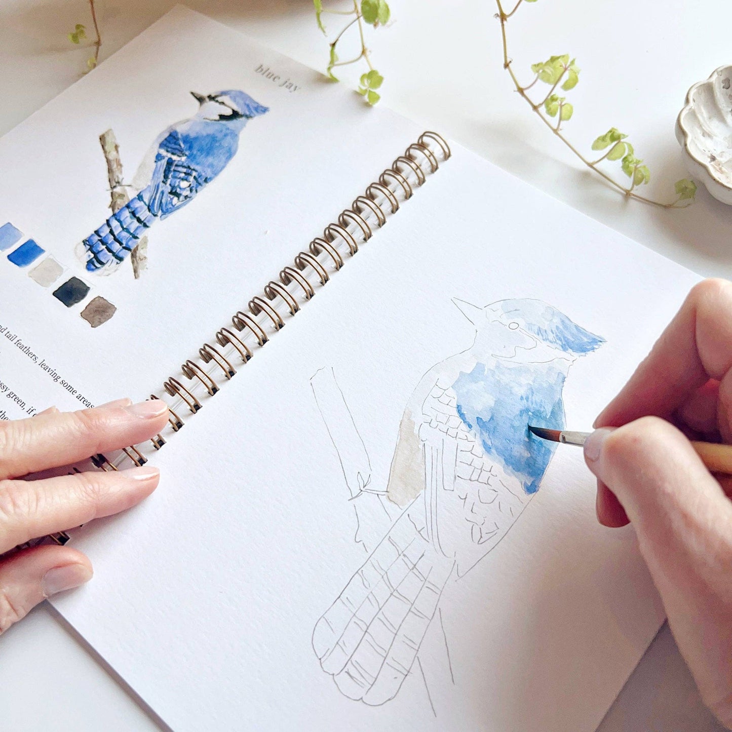 Birds watercolor workbook Regular