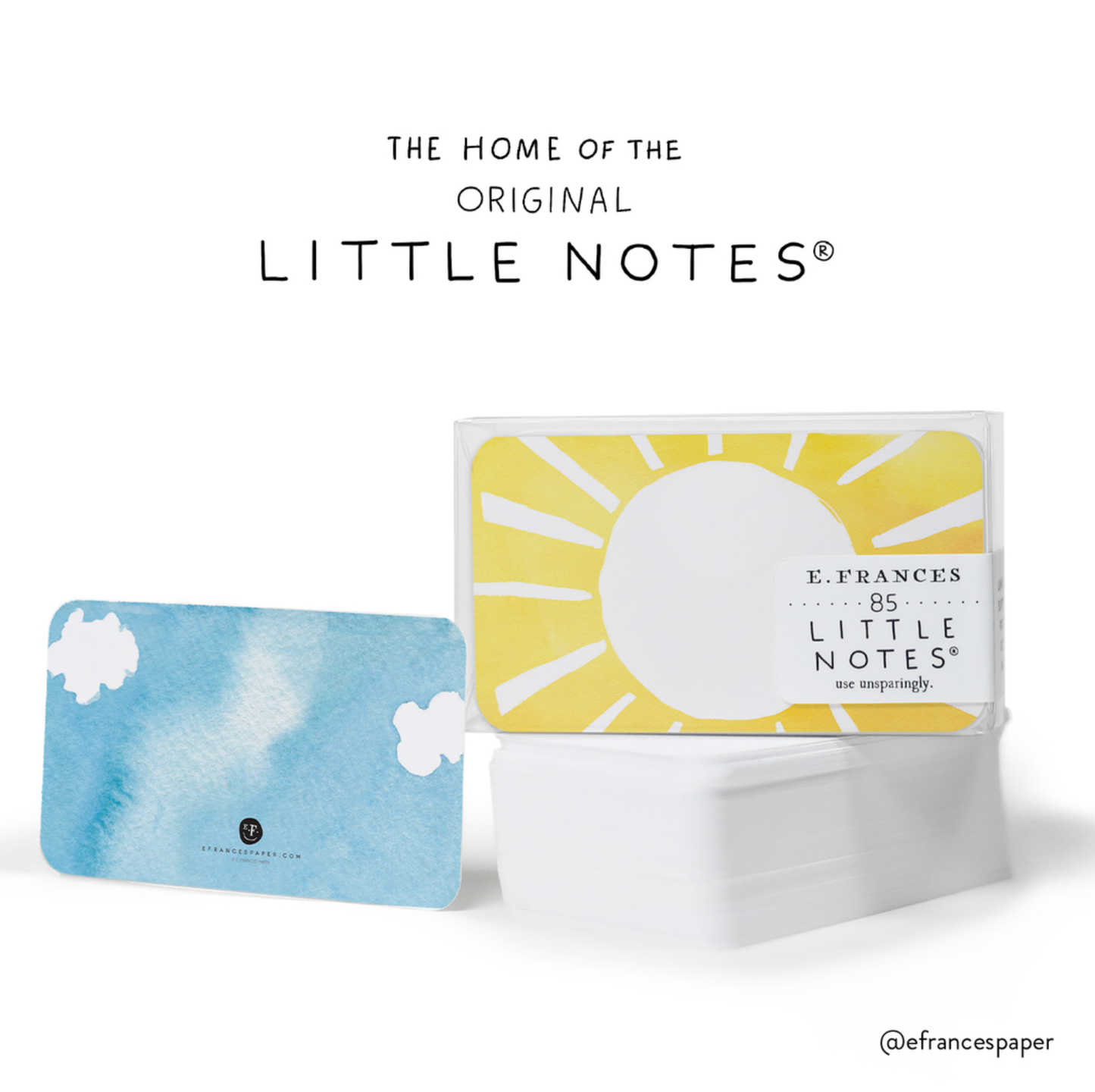 Blueberry Little Notes® Regular